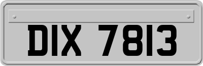 DIX7813