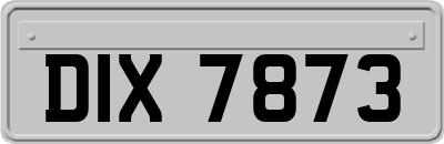 DIX7873