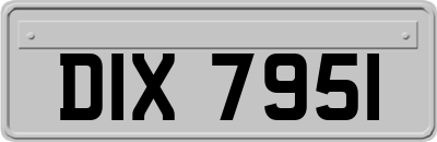 DIX7951
