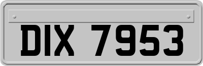 DIX7953