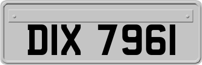 DIX7961