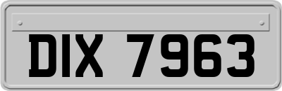 DIX7963