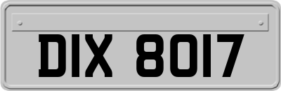 DIX8017
