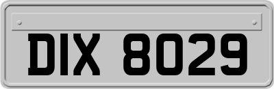 DIX8029