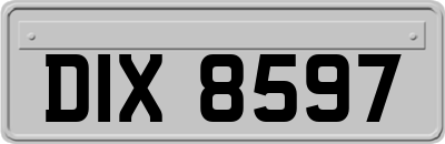 DIX8597