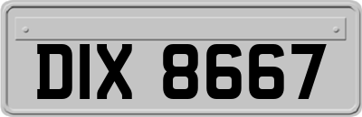 DIX8667
