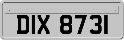 DIX8731