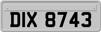 DIX8743