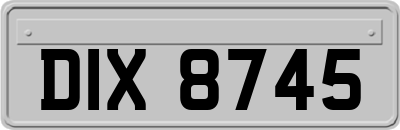 DIX8745