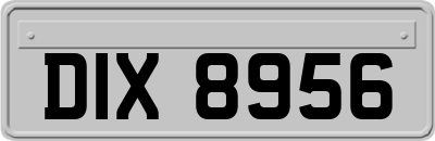DIX8956