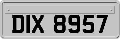 DIX8957