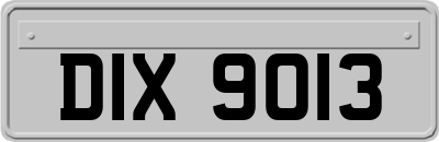 DIX9013