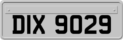 DIX9029