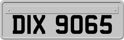 DIX9065