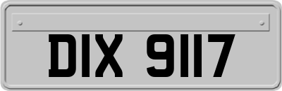 DIX9117