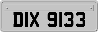 DIX9133