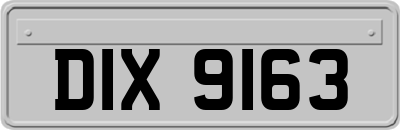 DIX9163