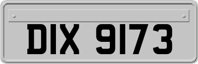 DIX9173