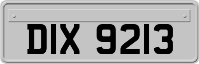 DIX9213