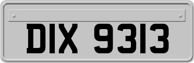 DIX9313