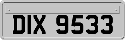 DIX9533