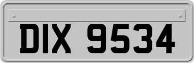 DIX9534