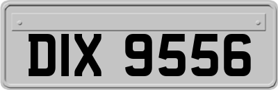 DIX9556