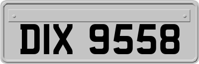 DIX9558
