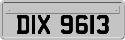 DIX9613