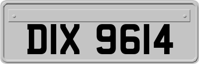 DIX9614
