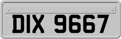 DIX9667