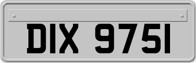 DIX9751