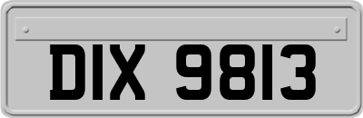 DIX9813