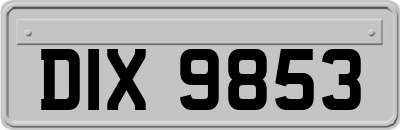 DIX9853