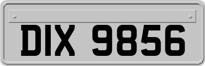 DIX9856
