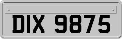 DIX9875