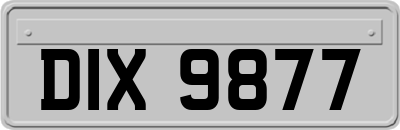 DIX9877