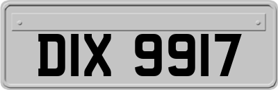 DIX9917