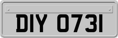 DIY0731