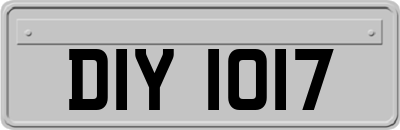 DIY1017