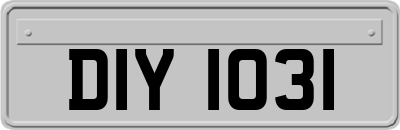 DIY1031