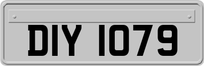 DIY1079