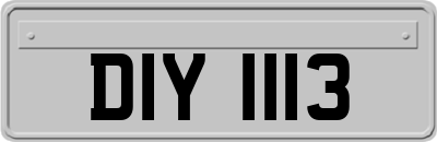 DIY1113