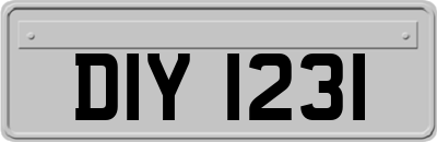 DIY1231
