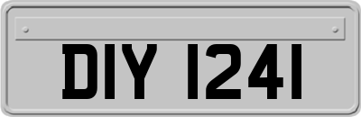 DIY1241