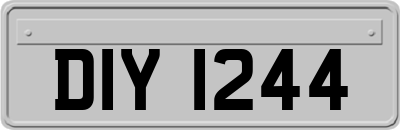 DIY1244
