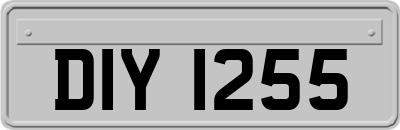 DIY1255