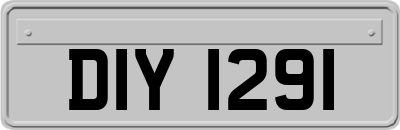 DIY1291