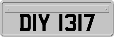 DIY1317