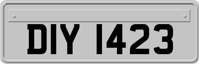 DIY1423